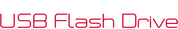 usb flash logo